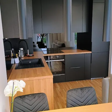 公寓 Apartamenty Cieszyn 切申