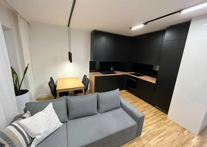 公寓 Apartamenty Cieszyn *