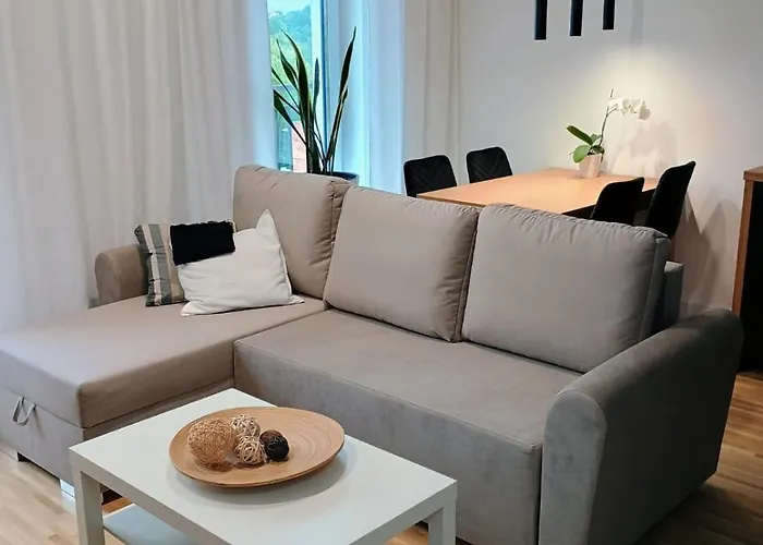 Apartamenty Cieszyn * 切申